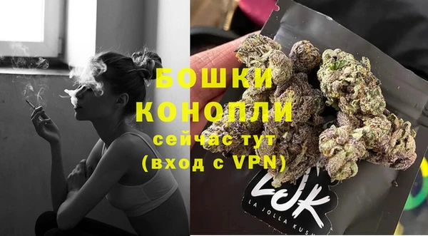 СК Заводоуковск